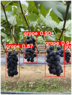 Agronomy 15 00042 i005