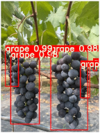 Agronomy 15 00042 i009