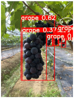 Agronomy 15 00042 i011