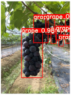 Agronomy 15 00042 i012