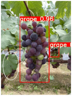 Agronomy 15 00042 i017