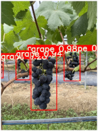 Agronomy 15 00042 i021