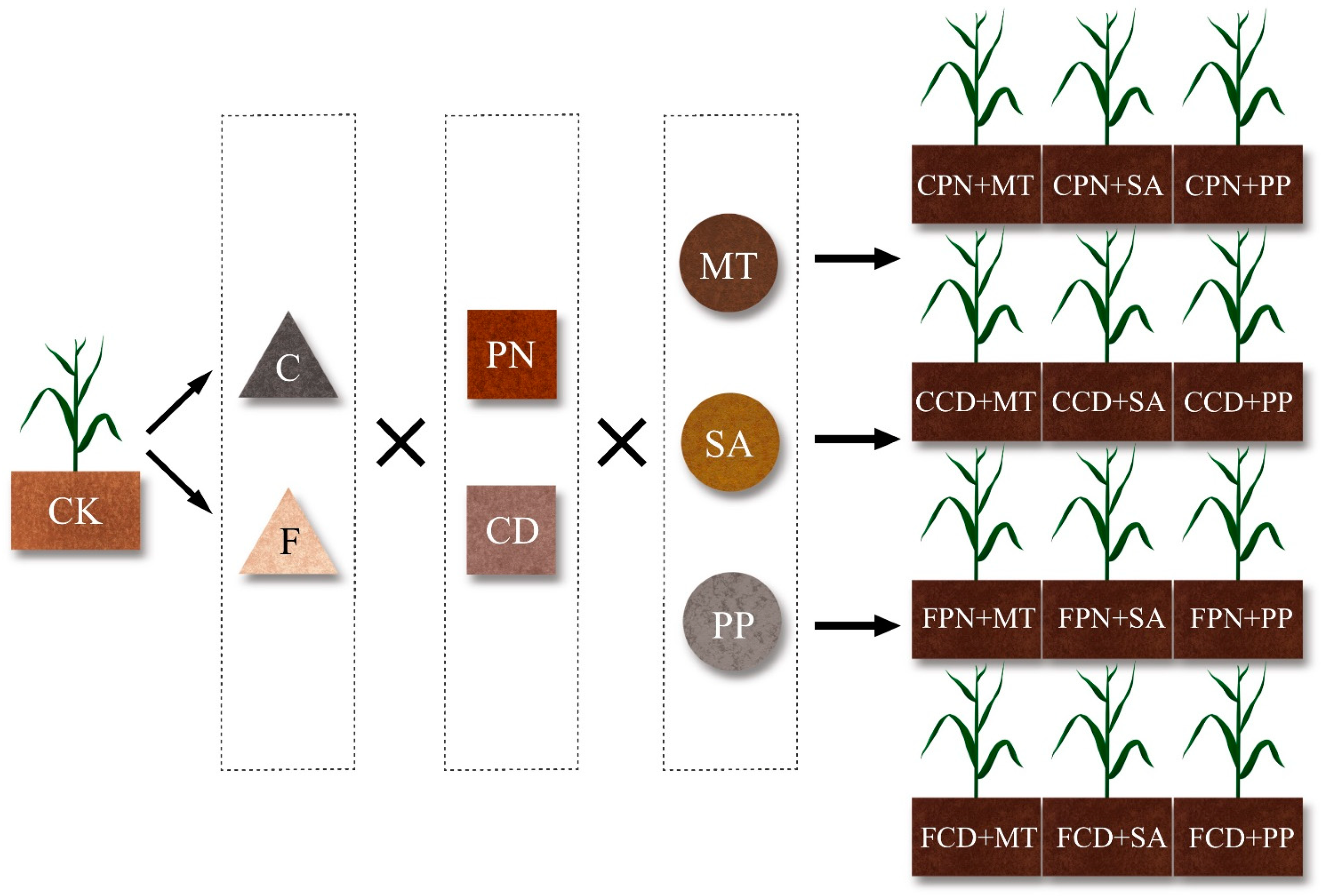 Agronomy 15 00056 g002