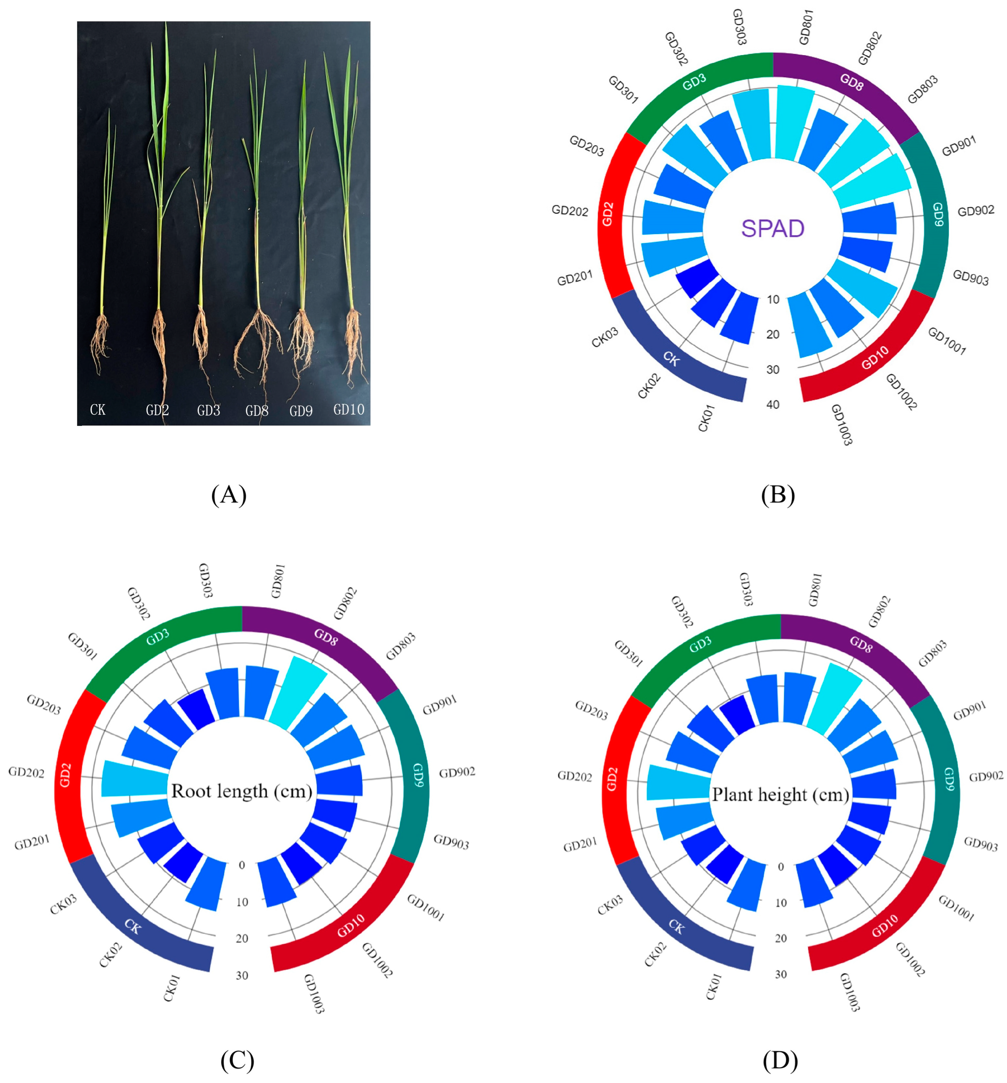Agronomy 15 00062 g007