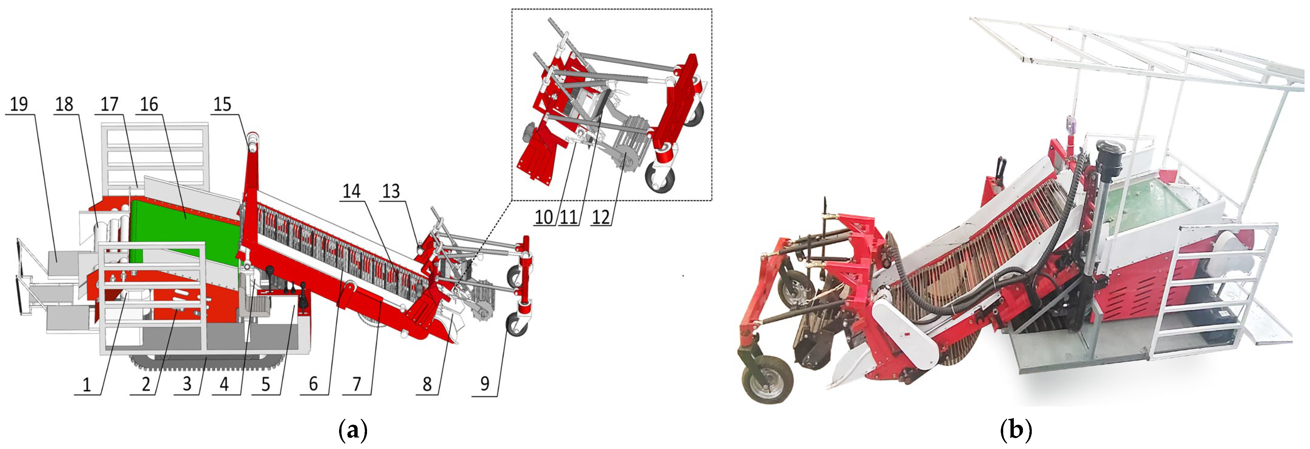 Agronomy 15 00065 g001