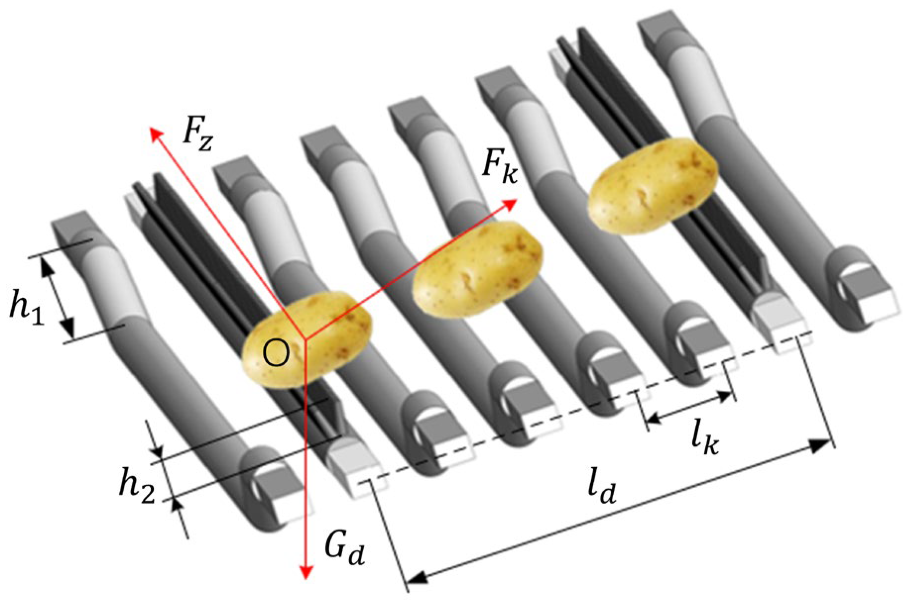 Agronomy 15 00065 g011