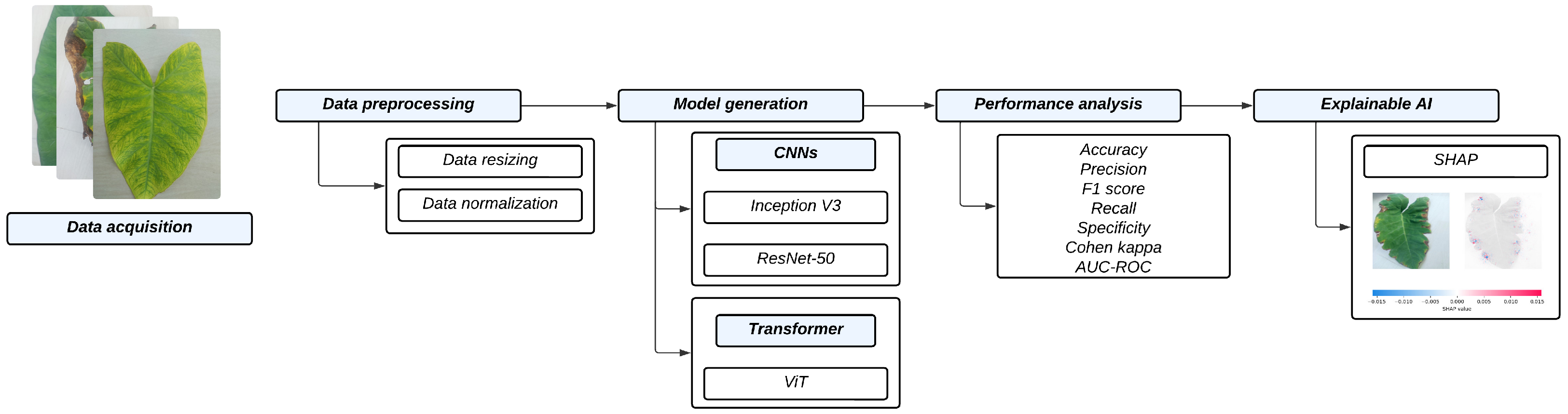 Agronomy 15 00077 g001
