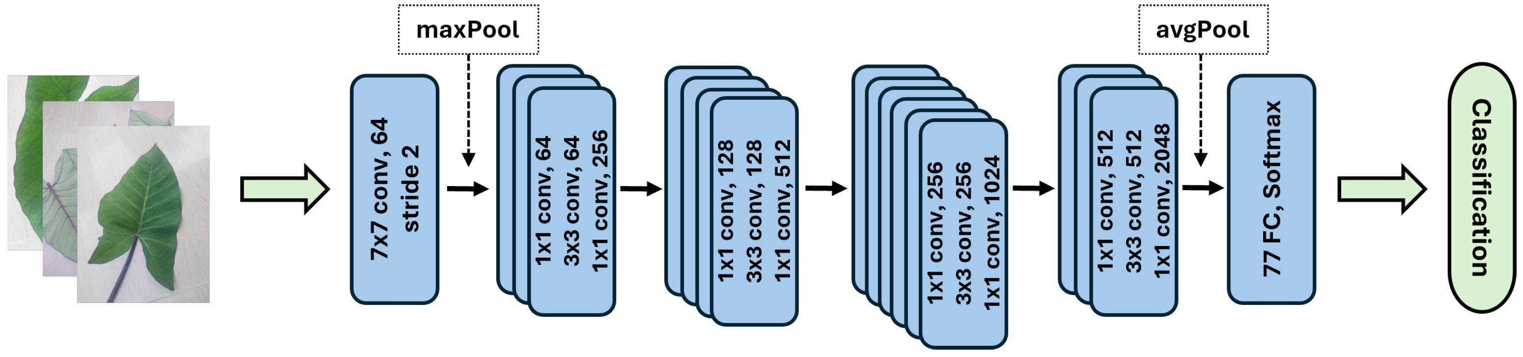 Agronomy 15 00077 g004
