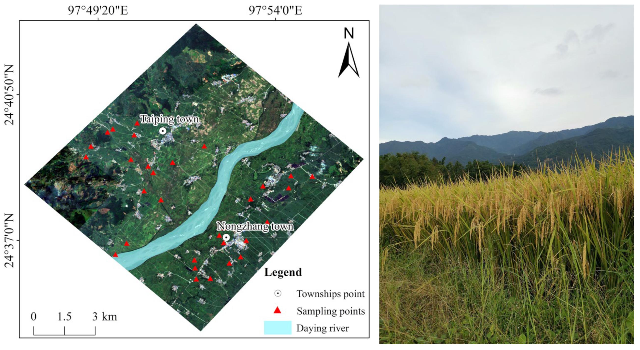 Agronomy 15 00086 g002