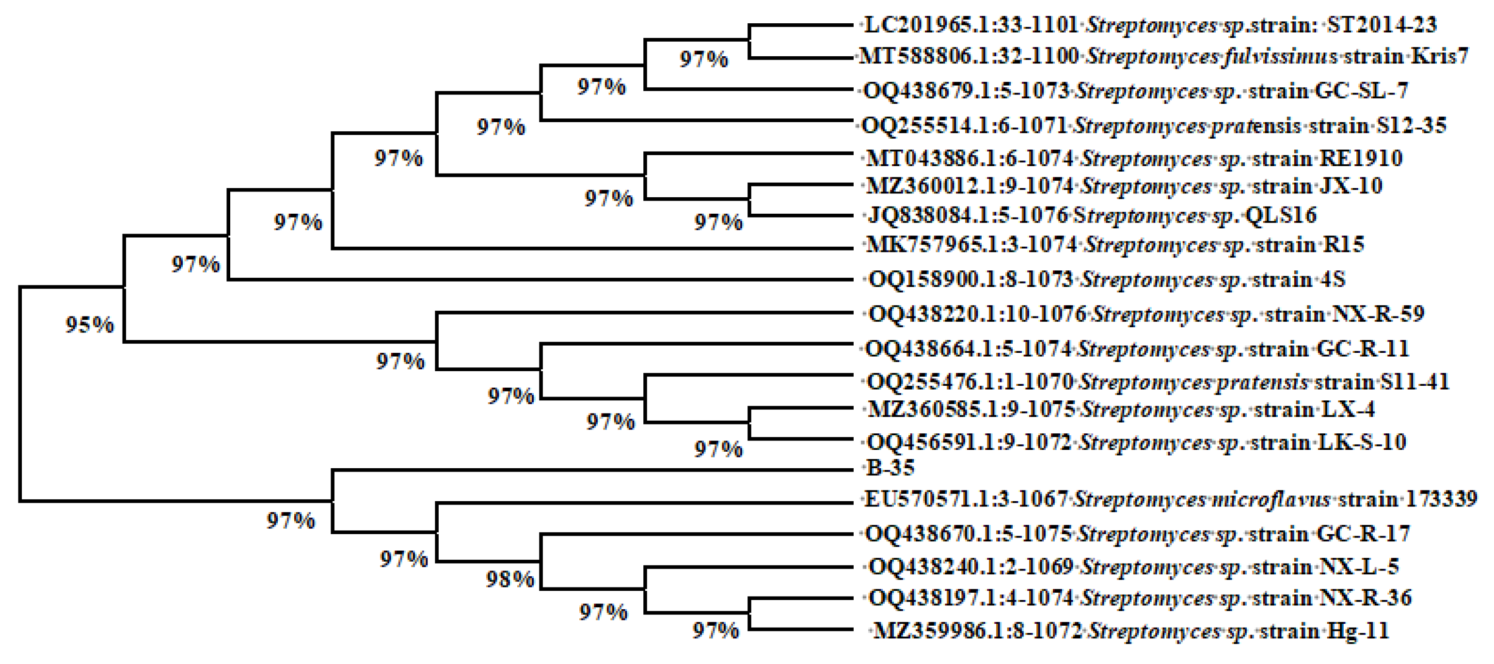 Agronomy 15 00102 g002