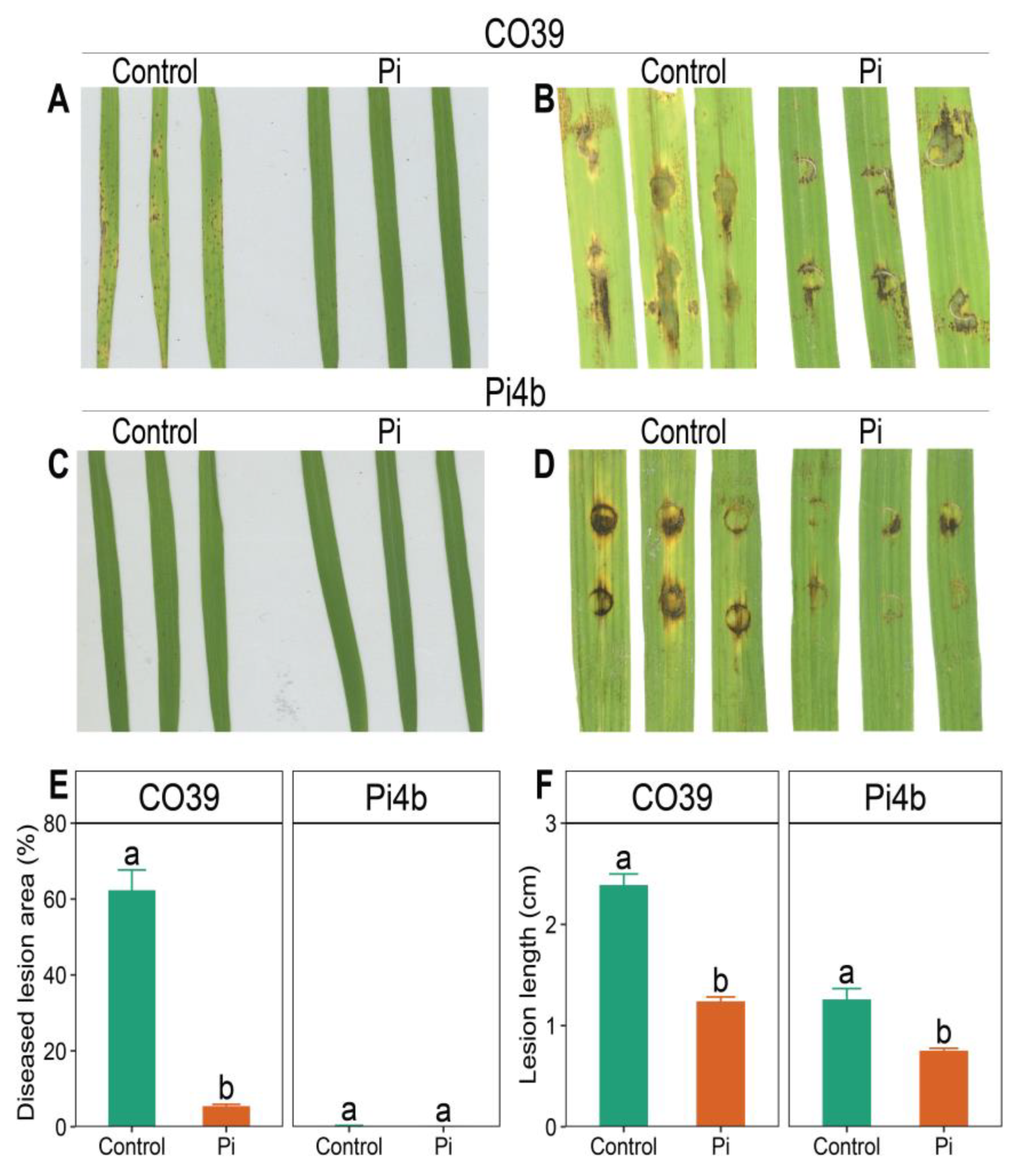 Agronomy 15 00118 g002