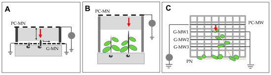 Agronomy 15 00123 g007