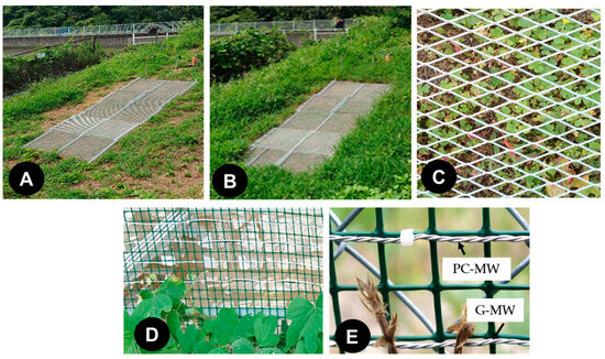 Agronomy 15 00123 g008