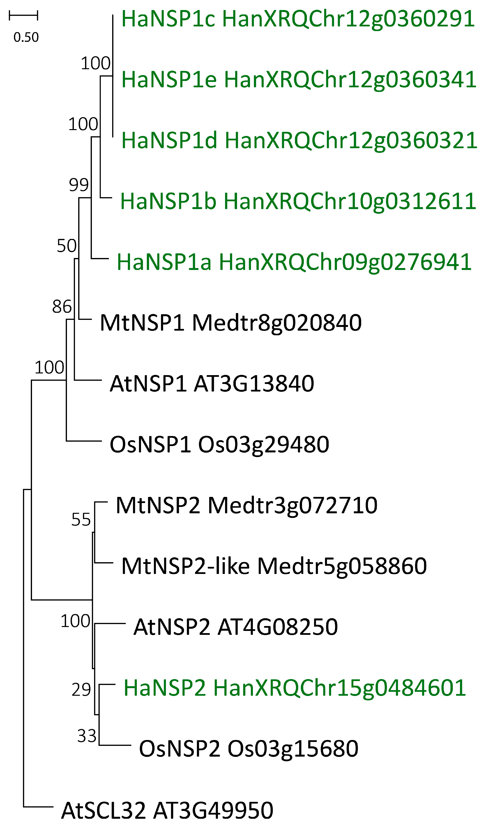Agronomy 15 00129 g001