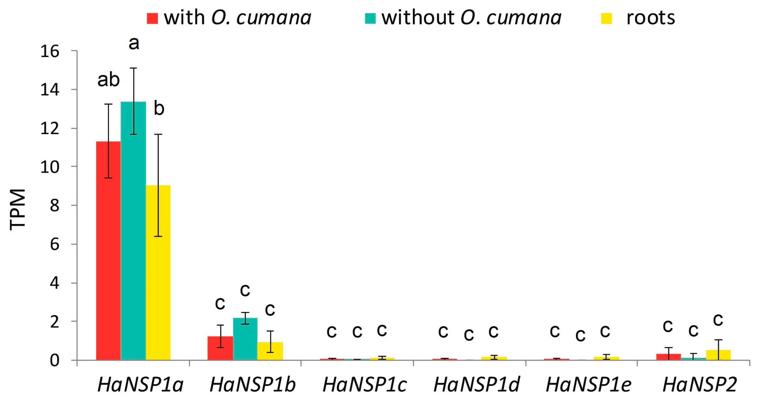Agronomy 15 00129 g002