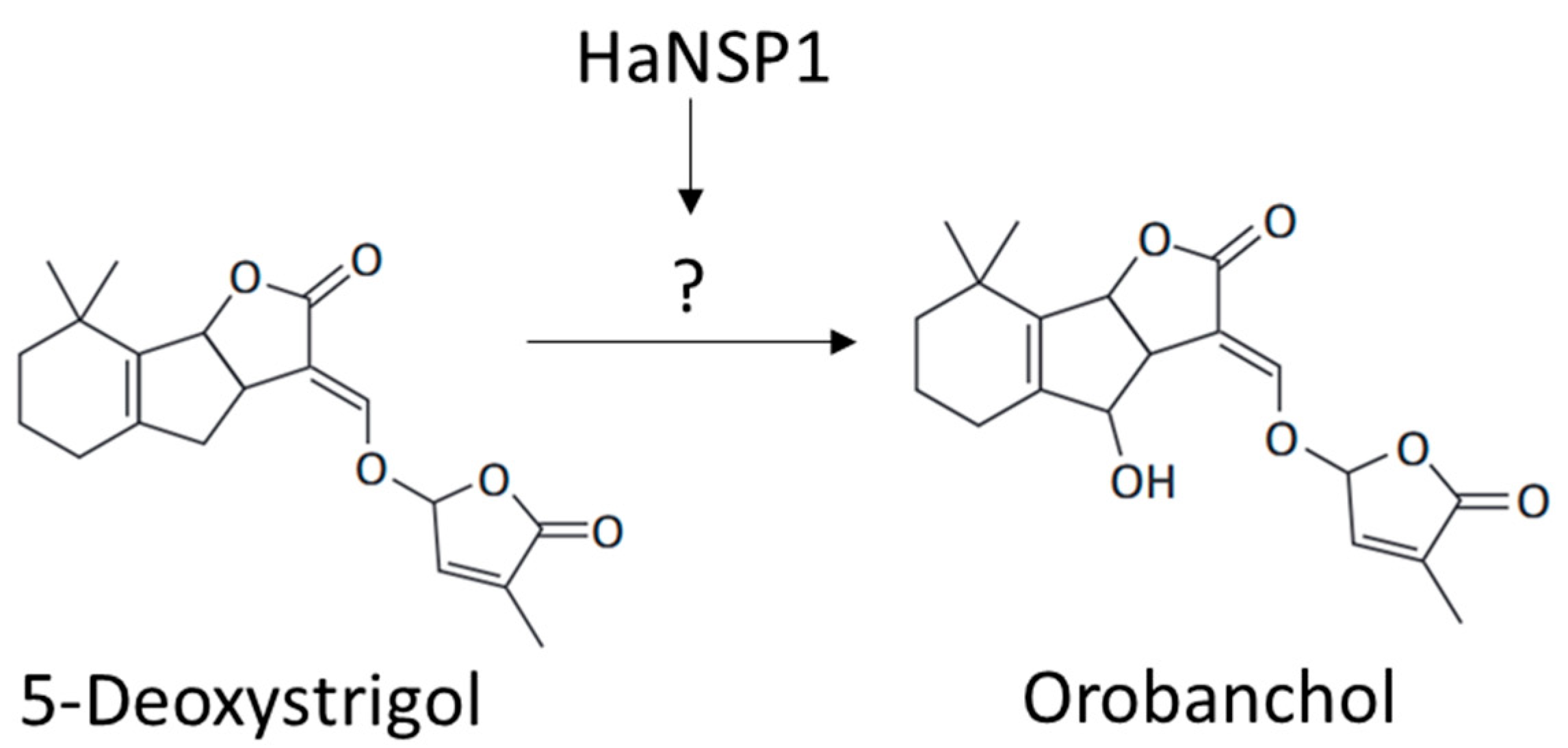 Agronomy 15 00129 g007