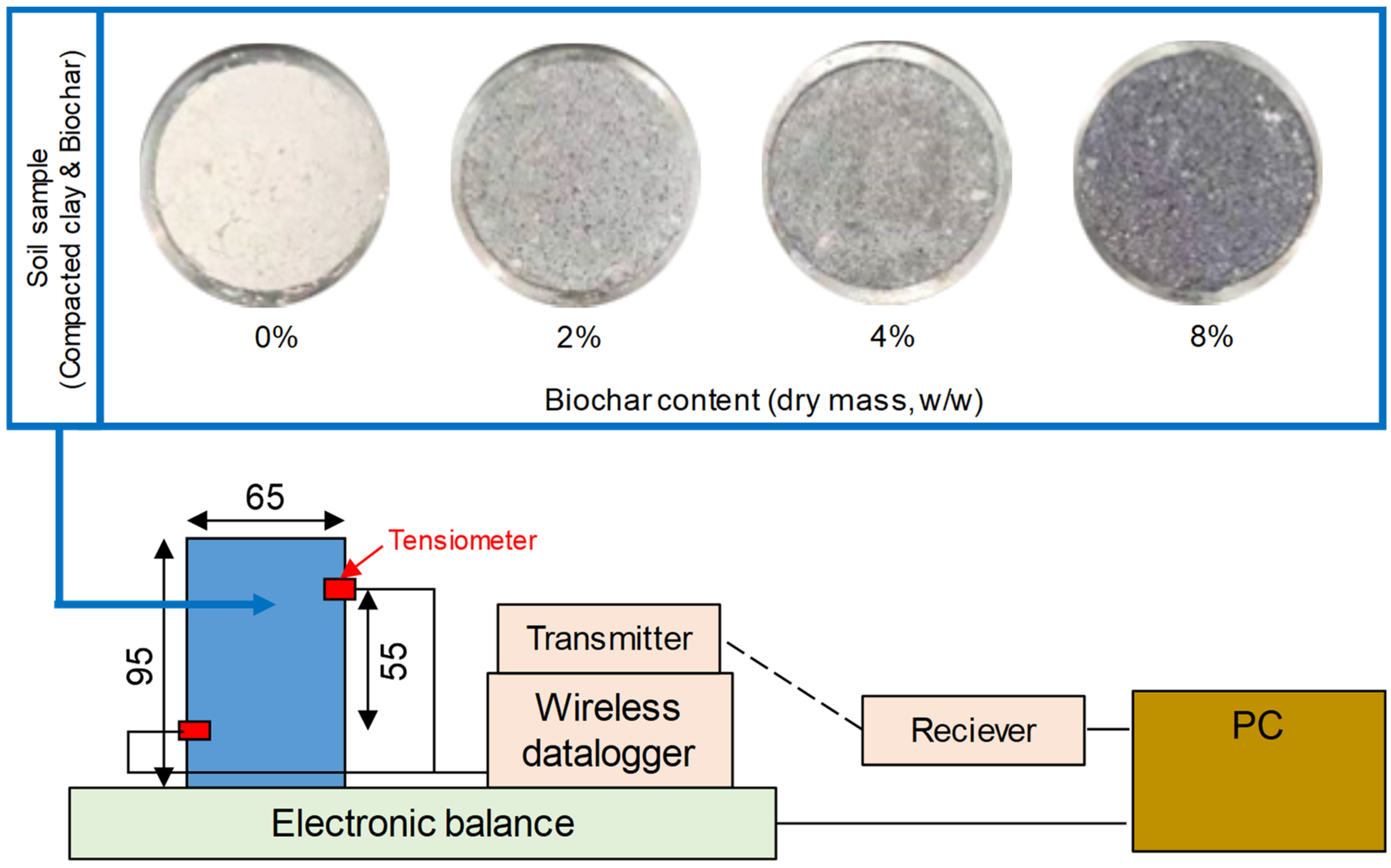 Agronomy 15 00137 g001
