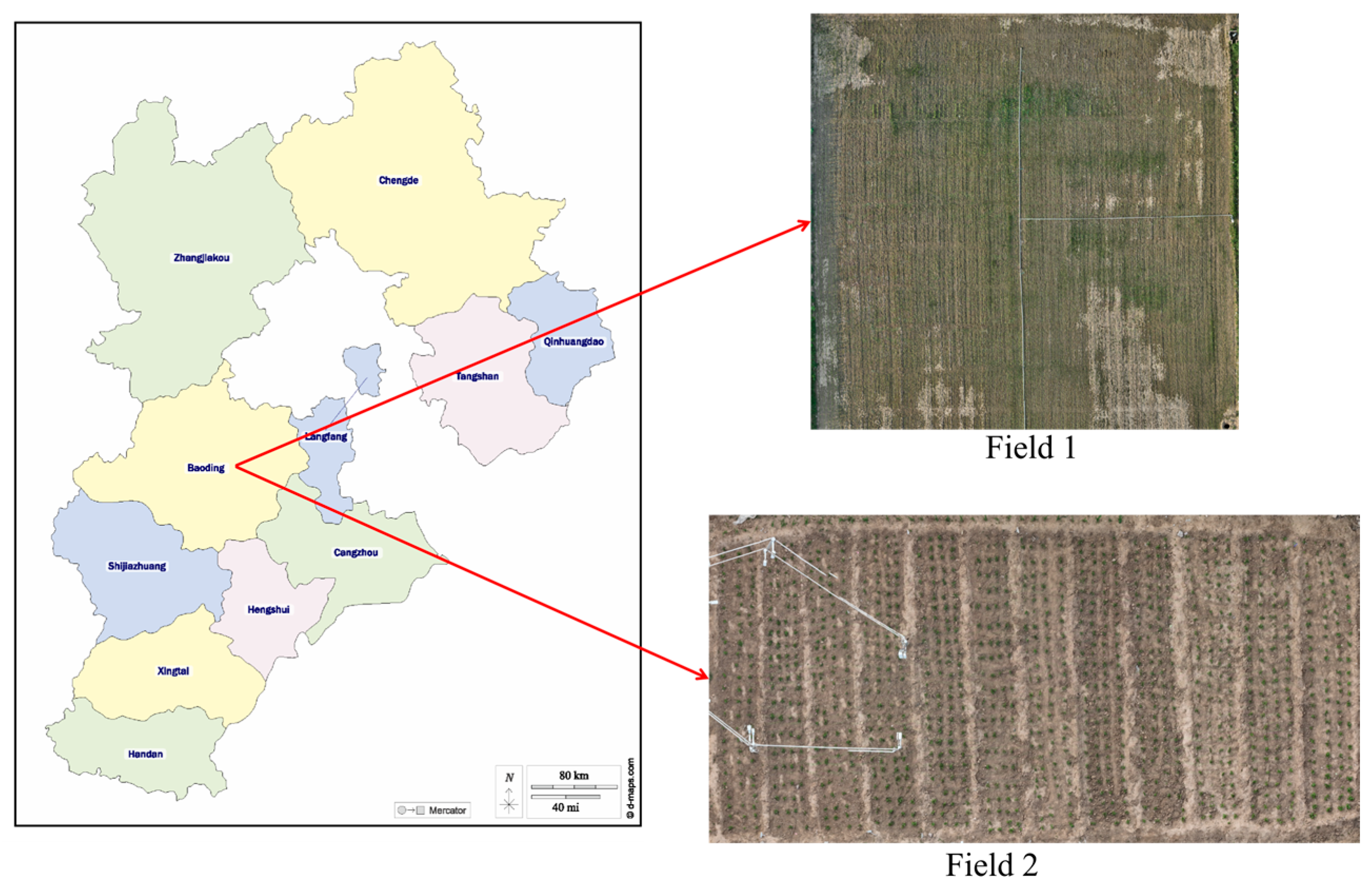 Agronomy 15 00151 g001