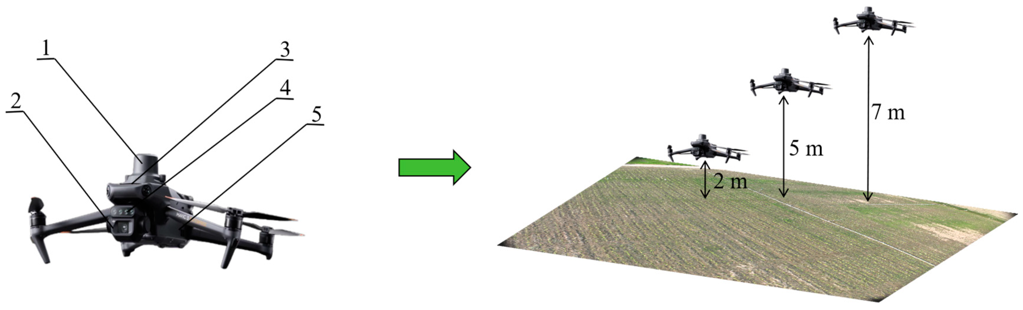 Agronomy 15 00151 g002