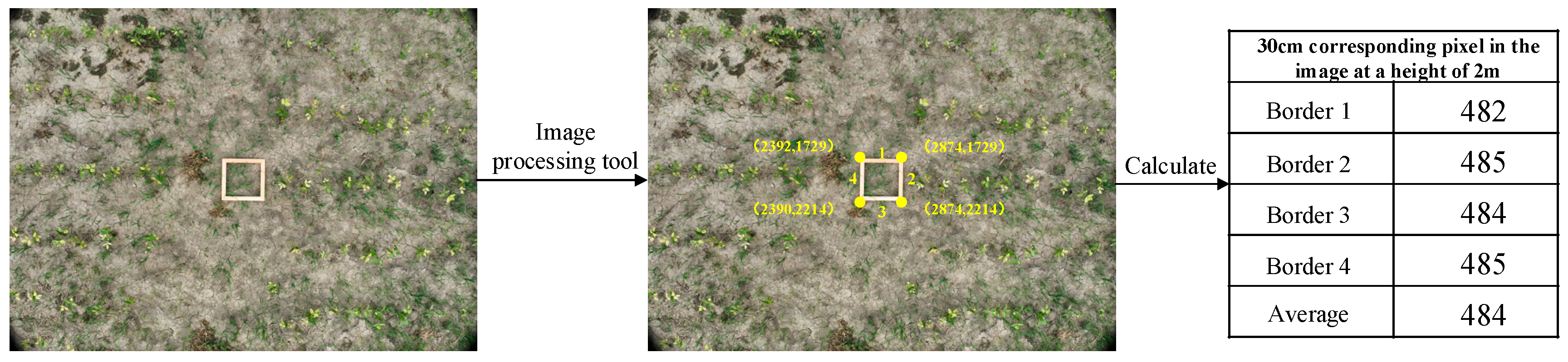 Agronomy 15 00151 g003