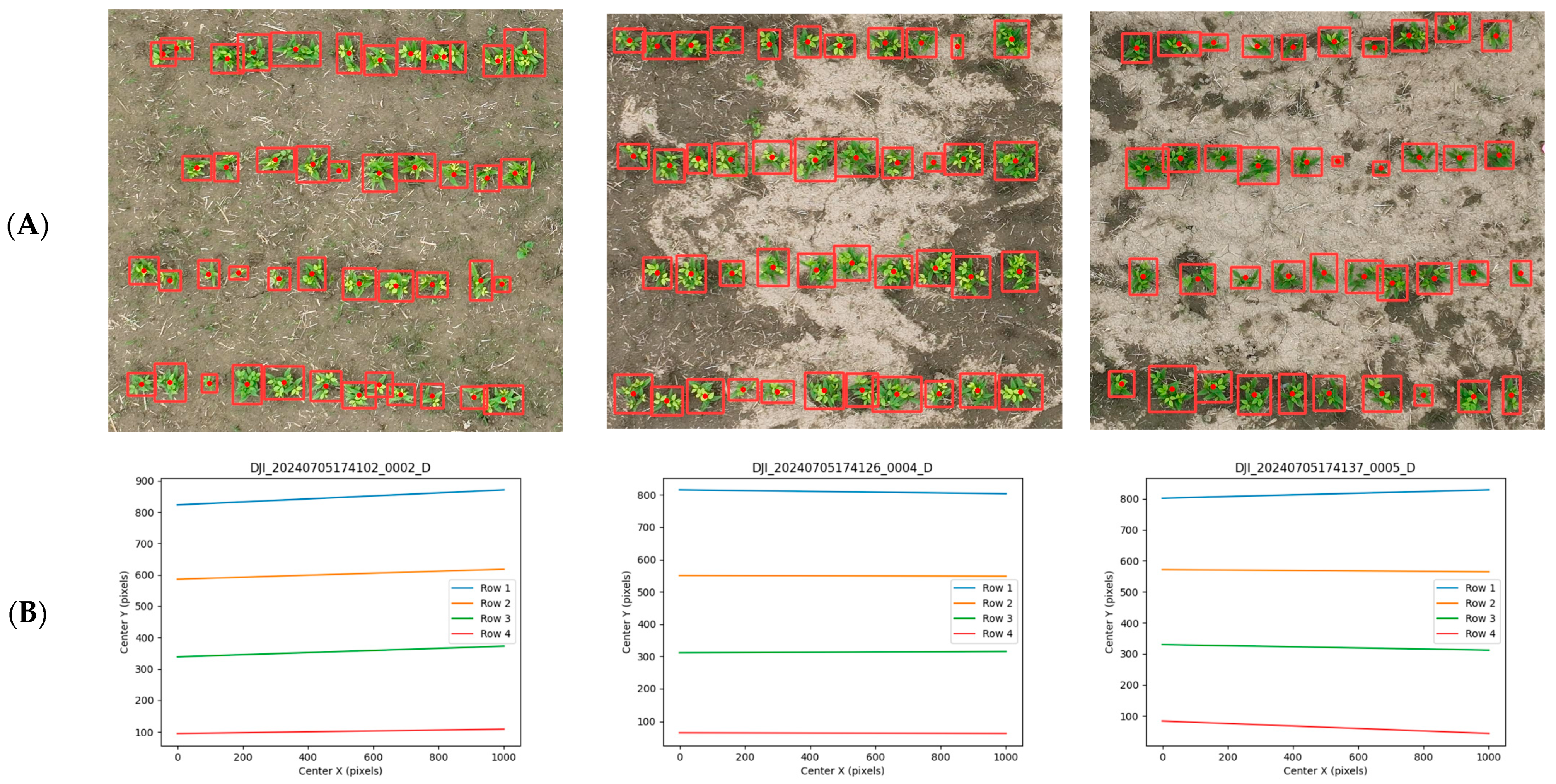 Agronomy 15 00151 g008