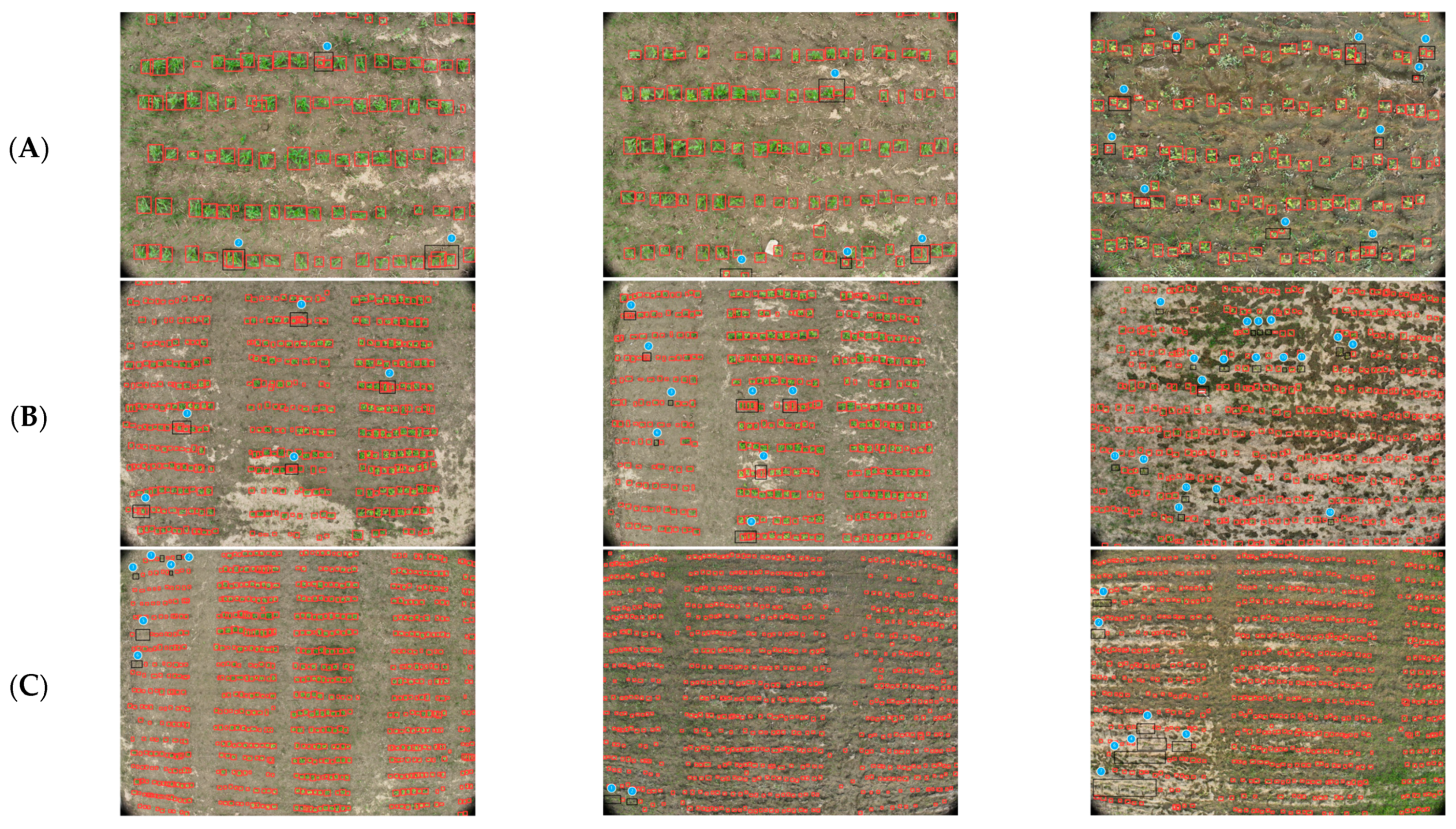 Agronomy 15 00151 g010