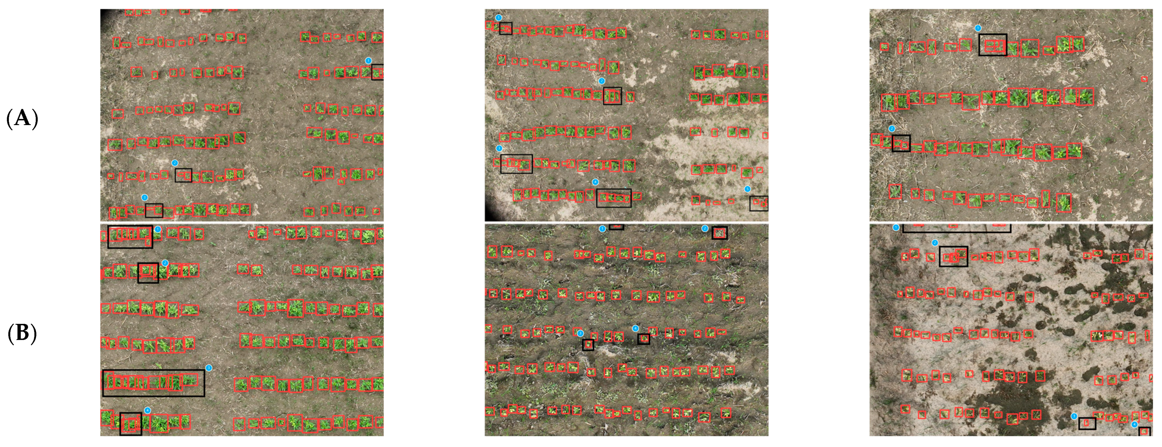 Agronomy 15 00151 g011a