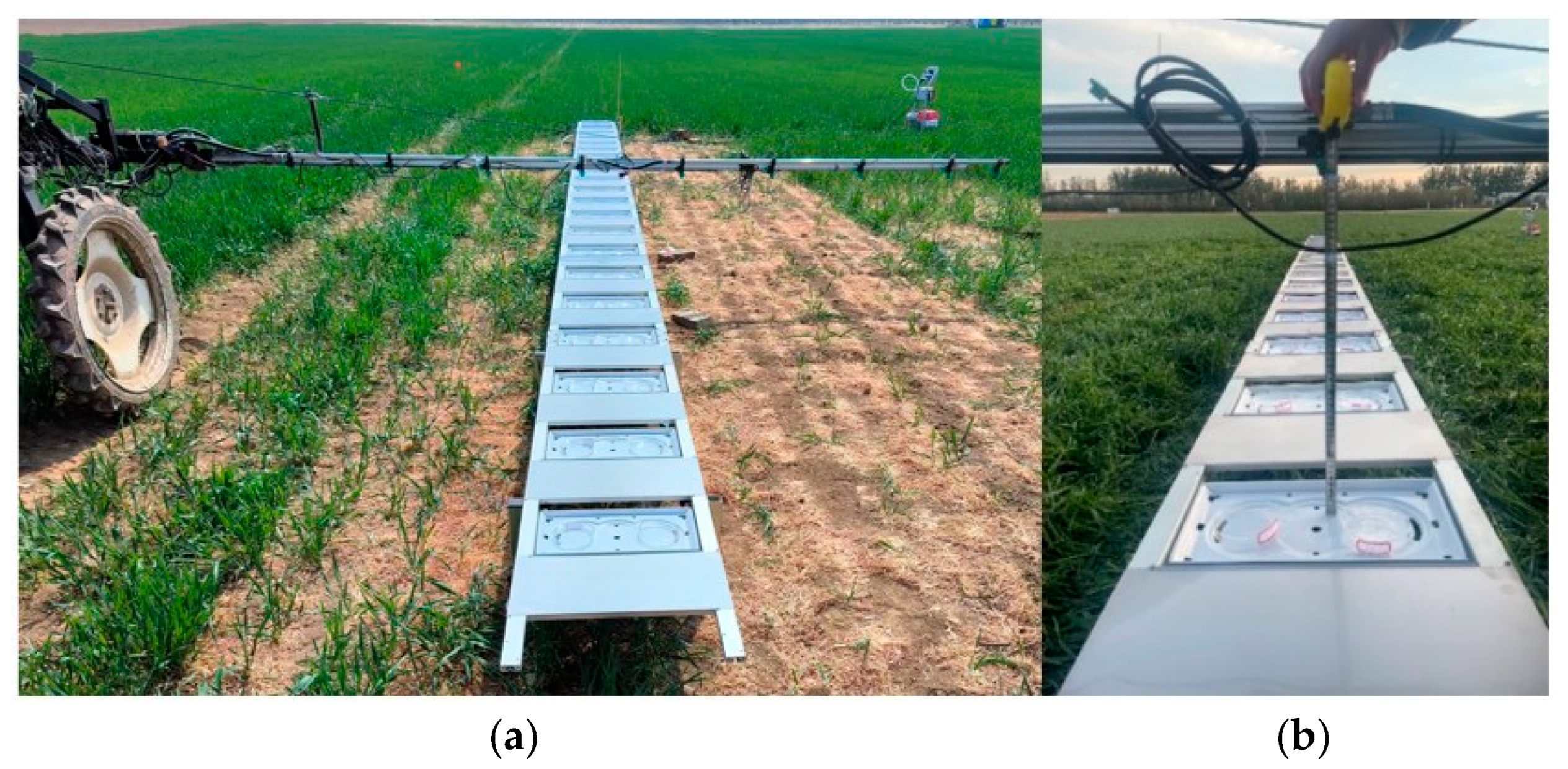 Agronomy 15 00160 g003