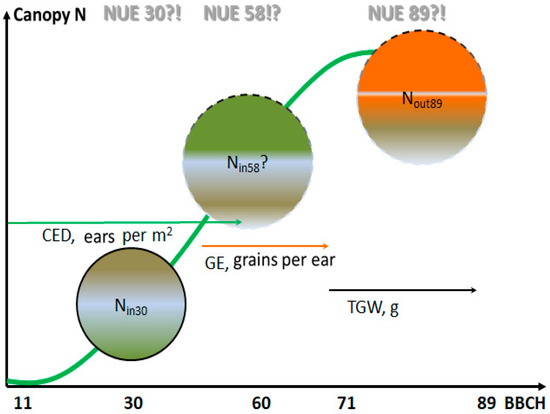 Agronomy 15 00161 g001