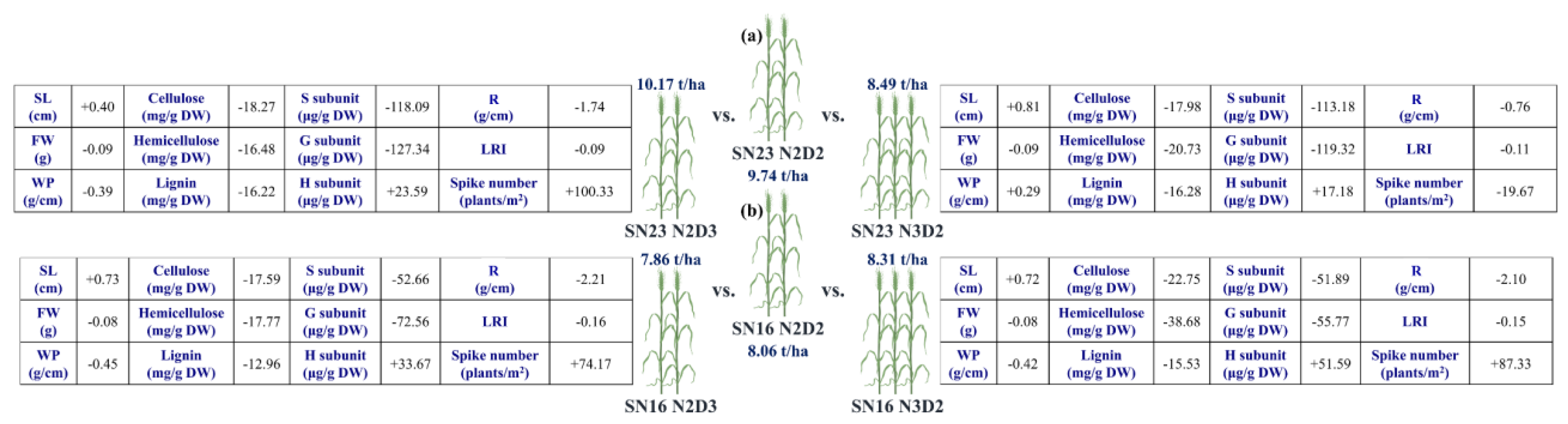 Agronomy 15 00168 g010