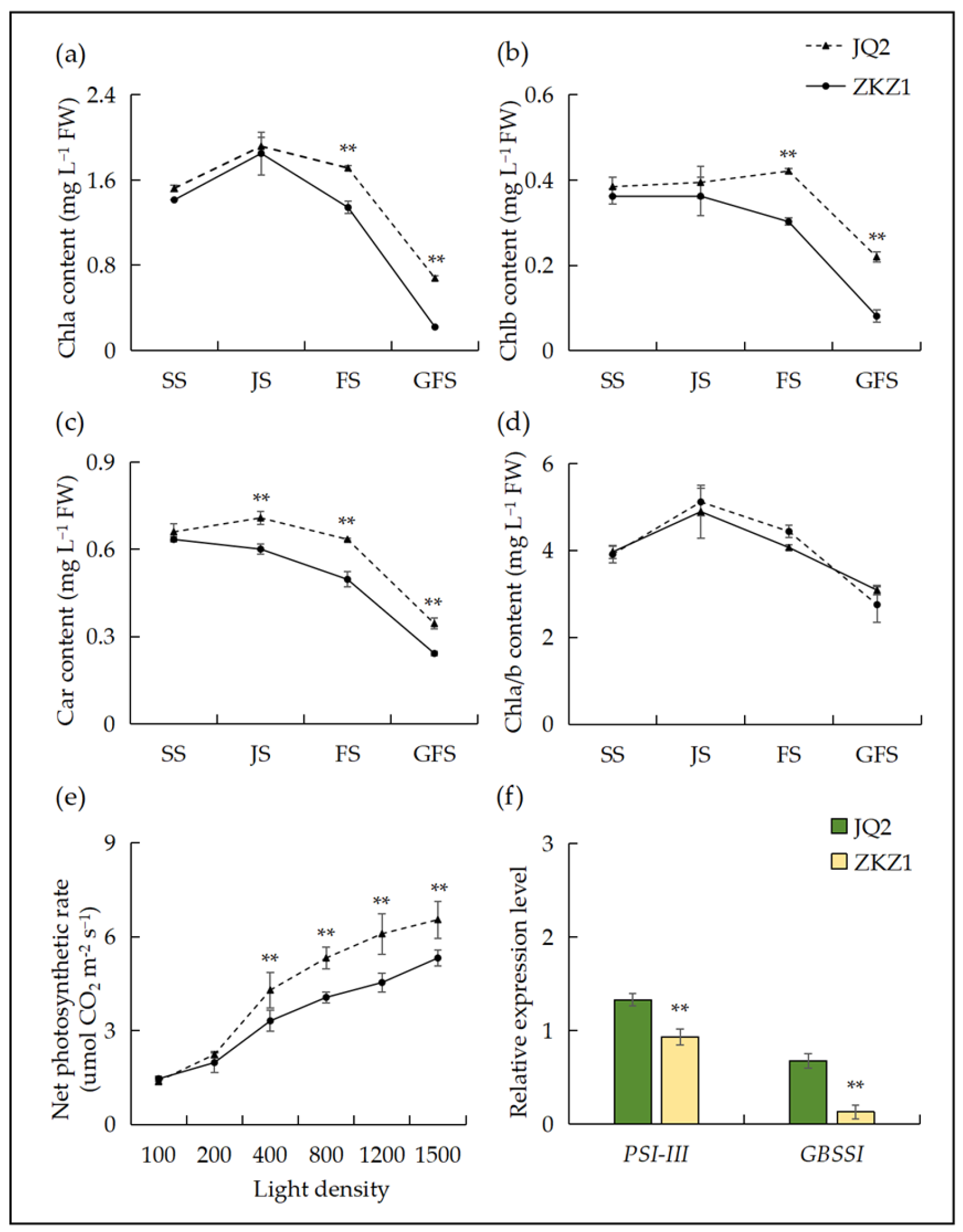 Agronomy 15 00173 g001