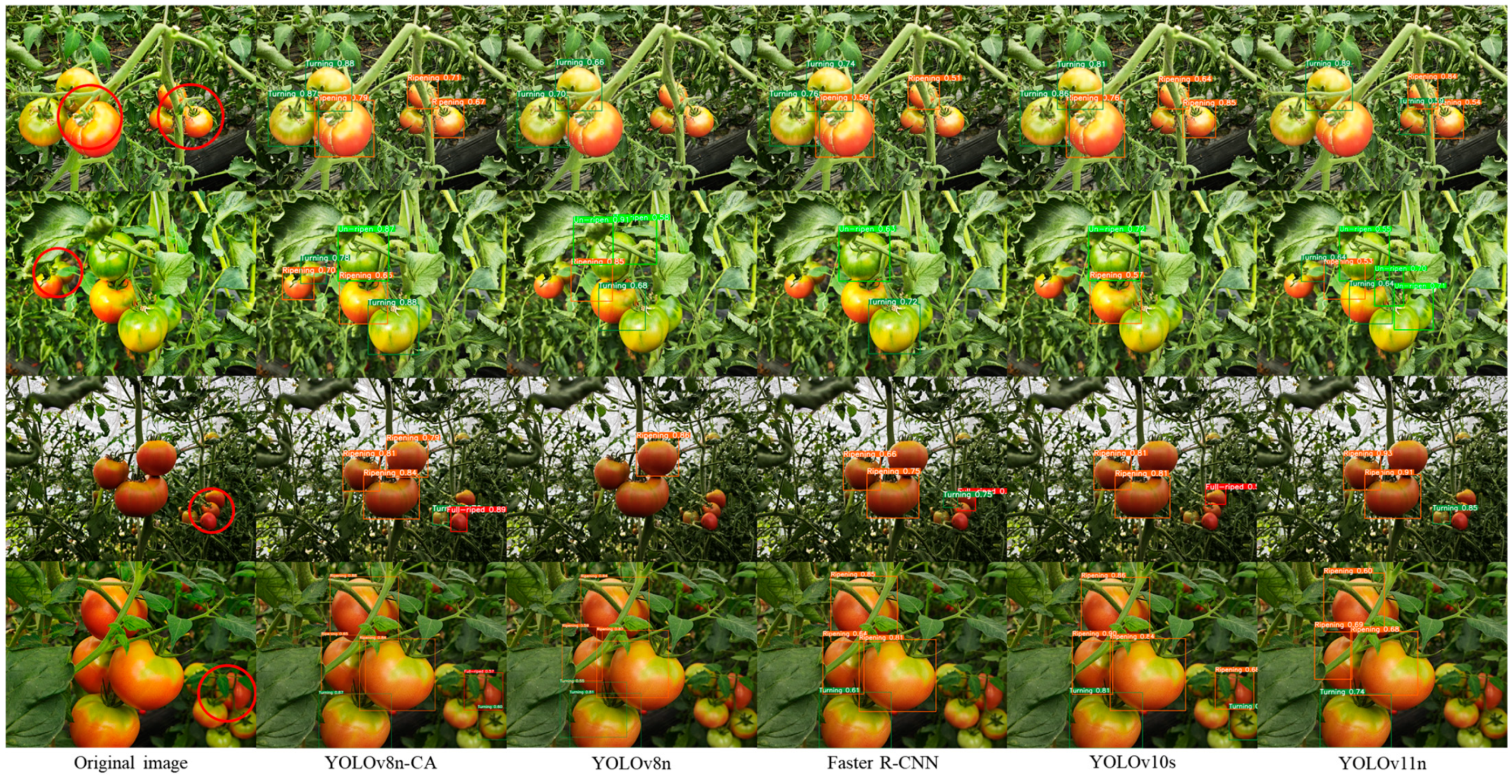 Agronomy 15 00188 g012