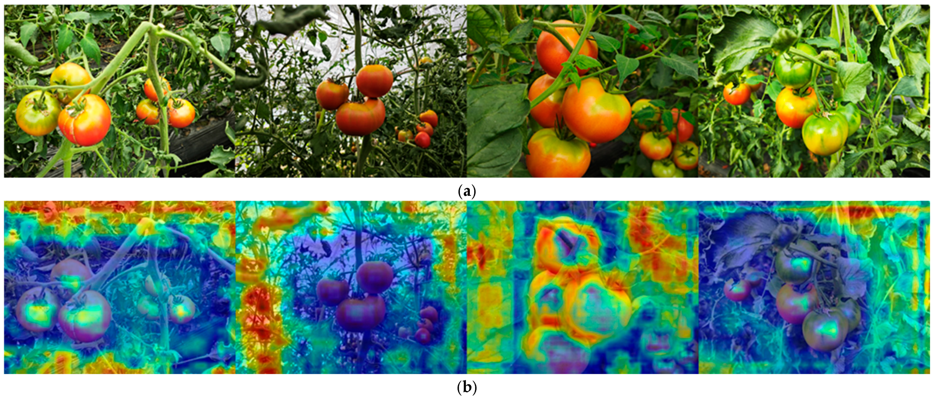 Agronomy 15 00188 g014a