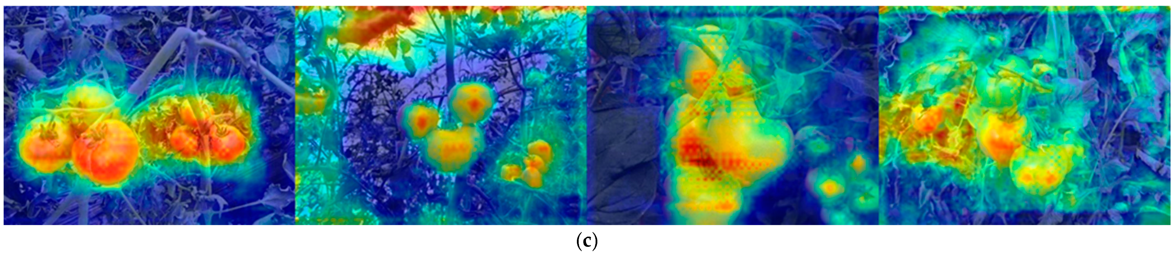 Agronomy 15 00188 g014b