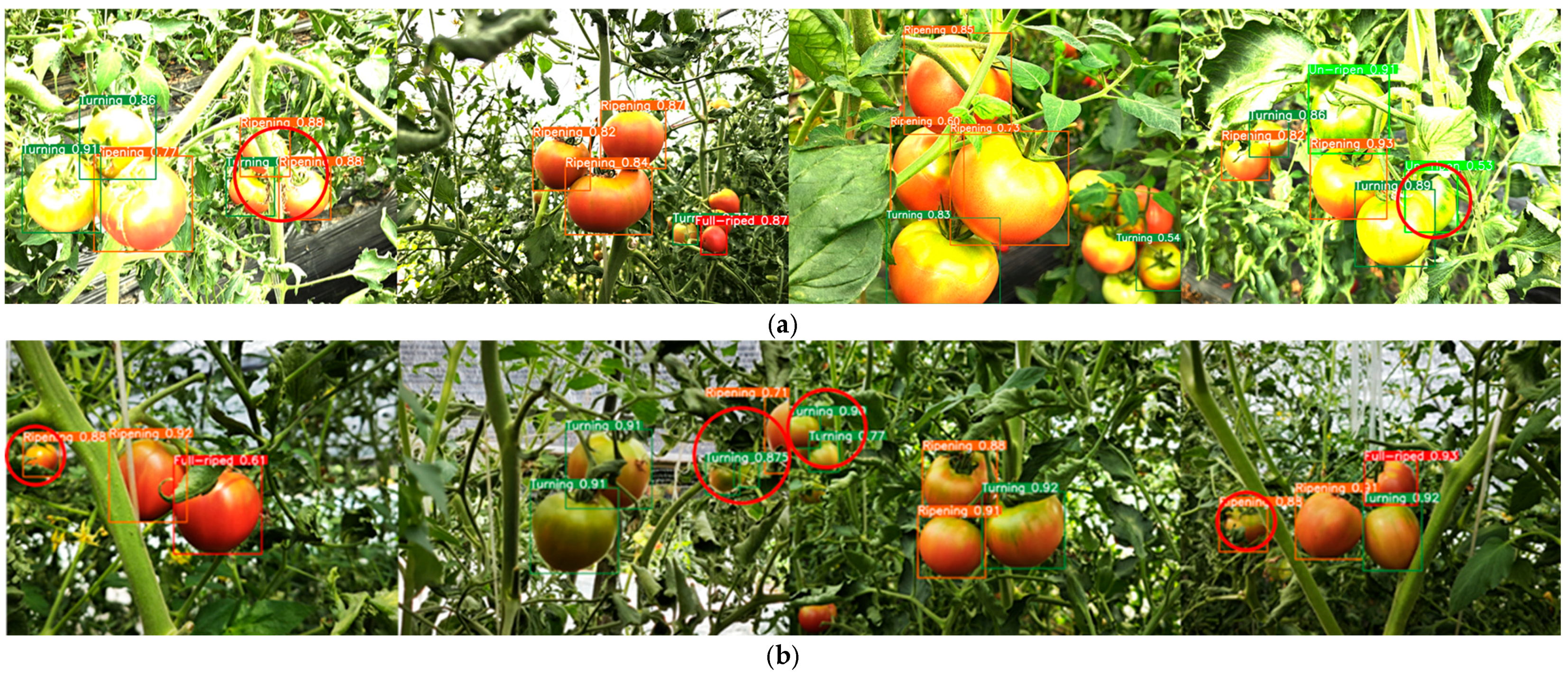 Agronomy 15 00188 g015