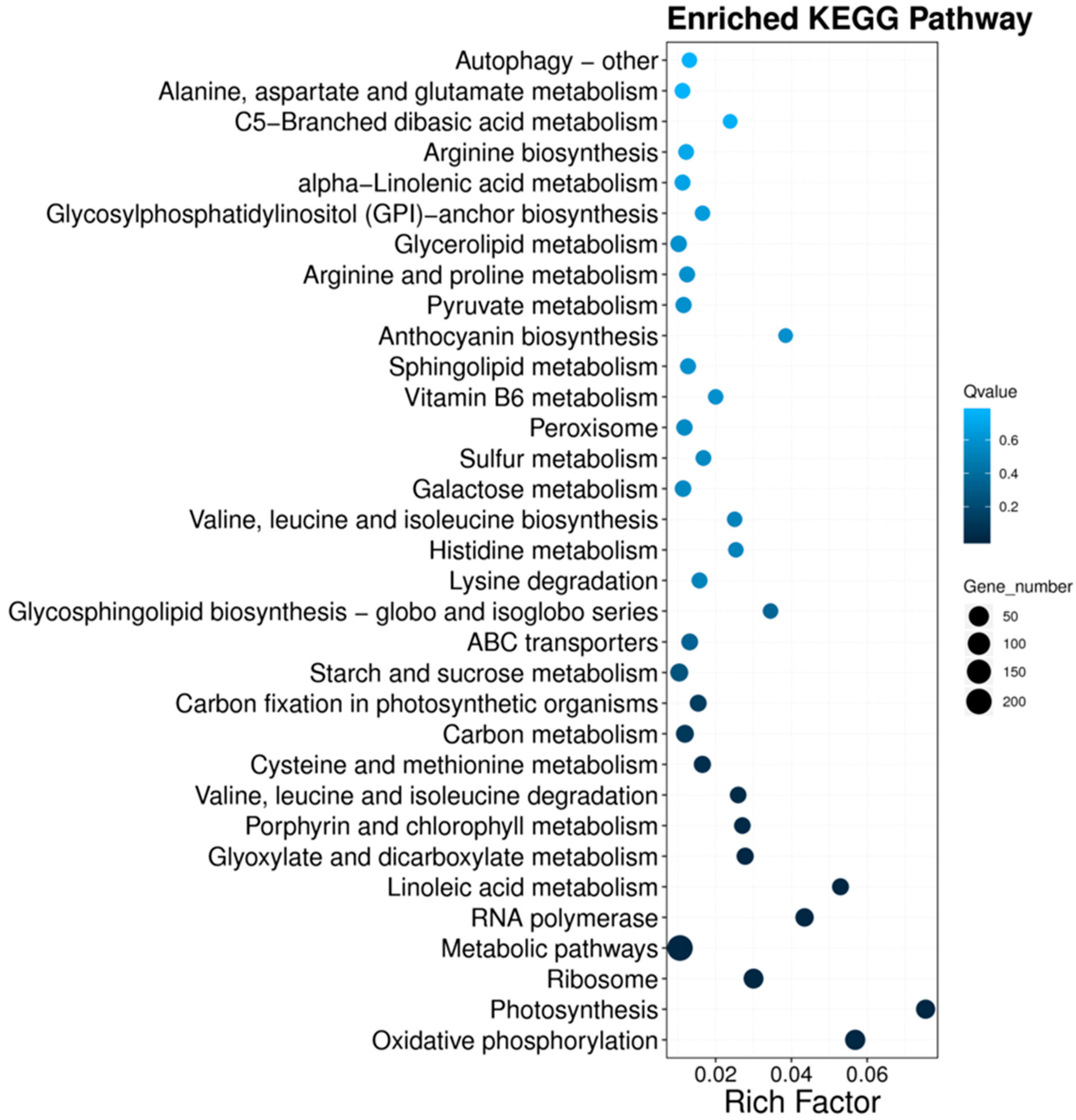 Agronomy 15 00191 g003
