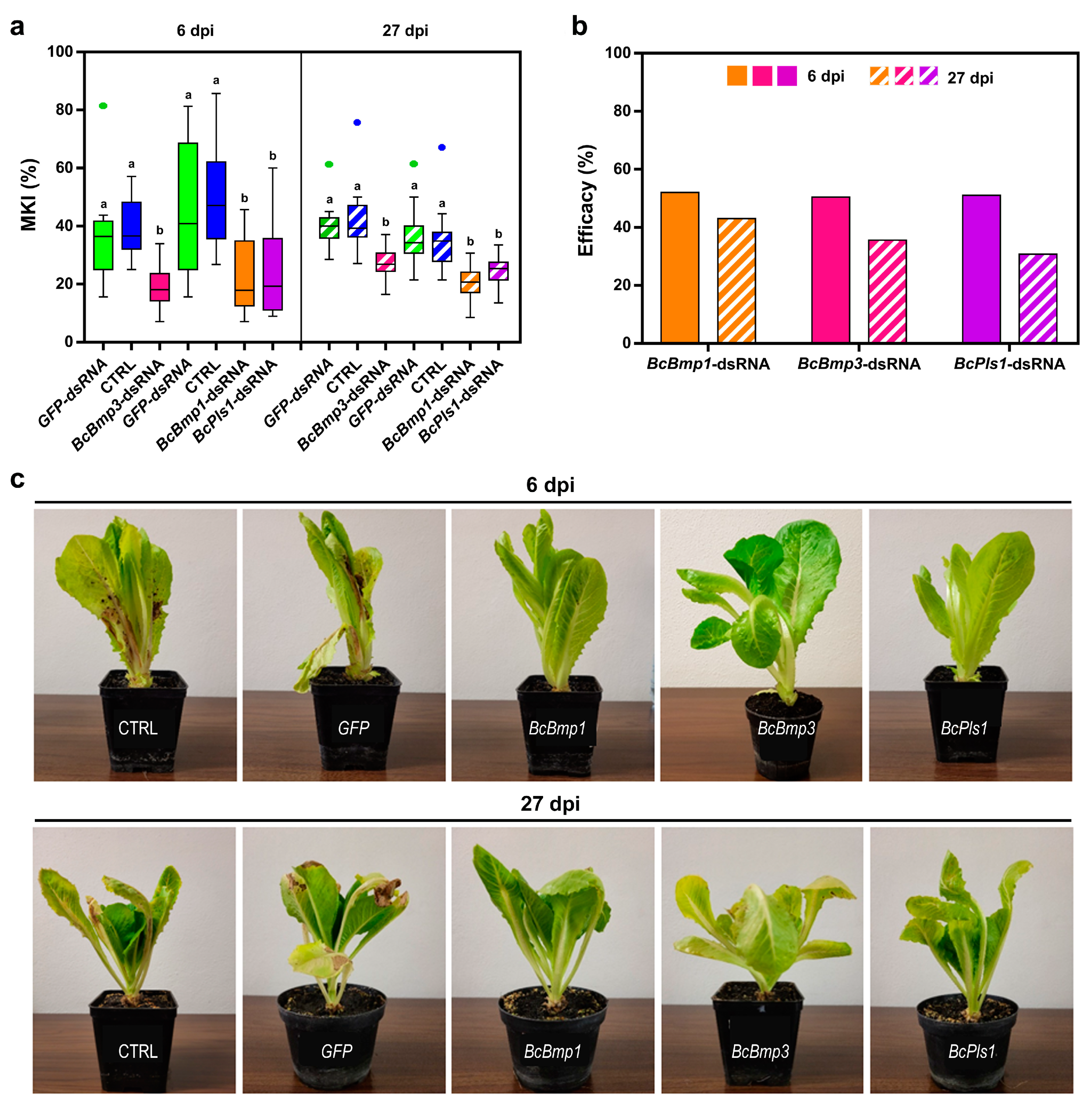 Agronomy 15 00194 g002