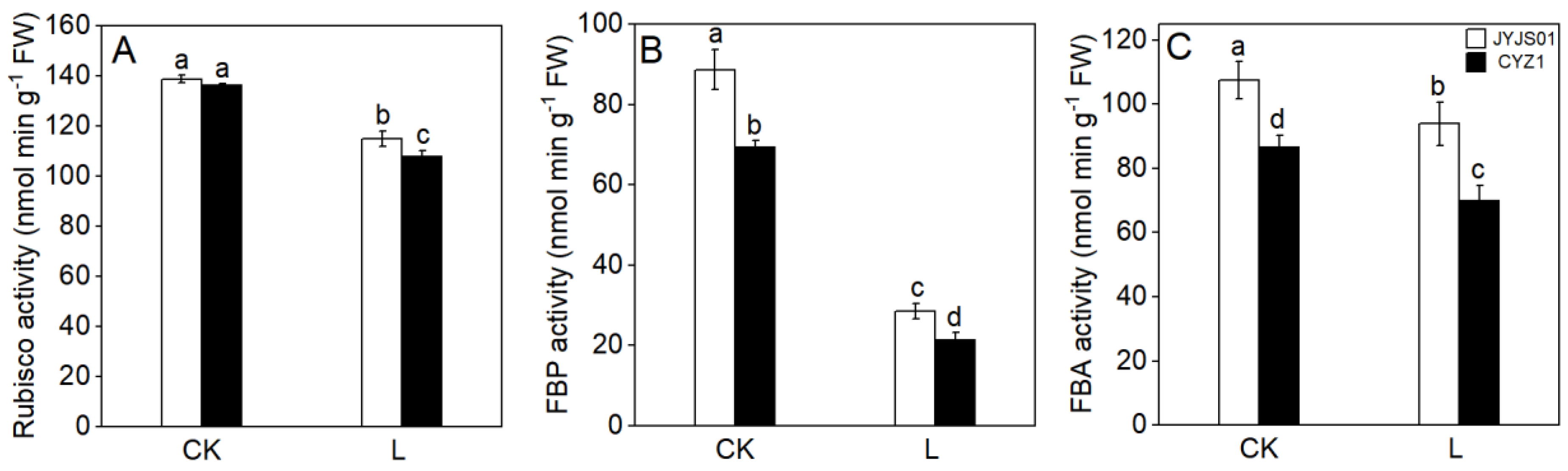 Agronomy 15 00214 g003