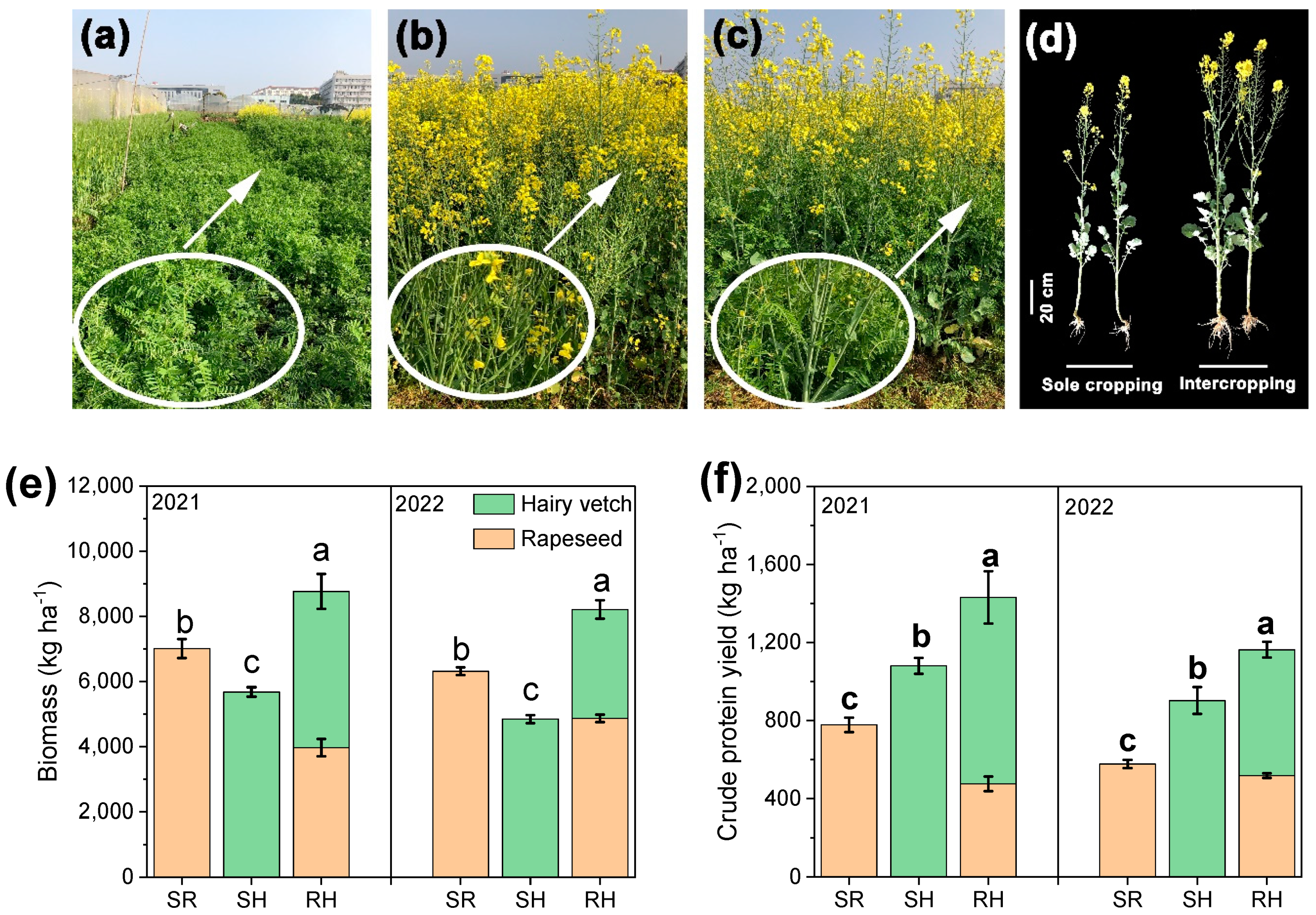 Agronomy 15 00220 g001