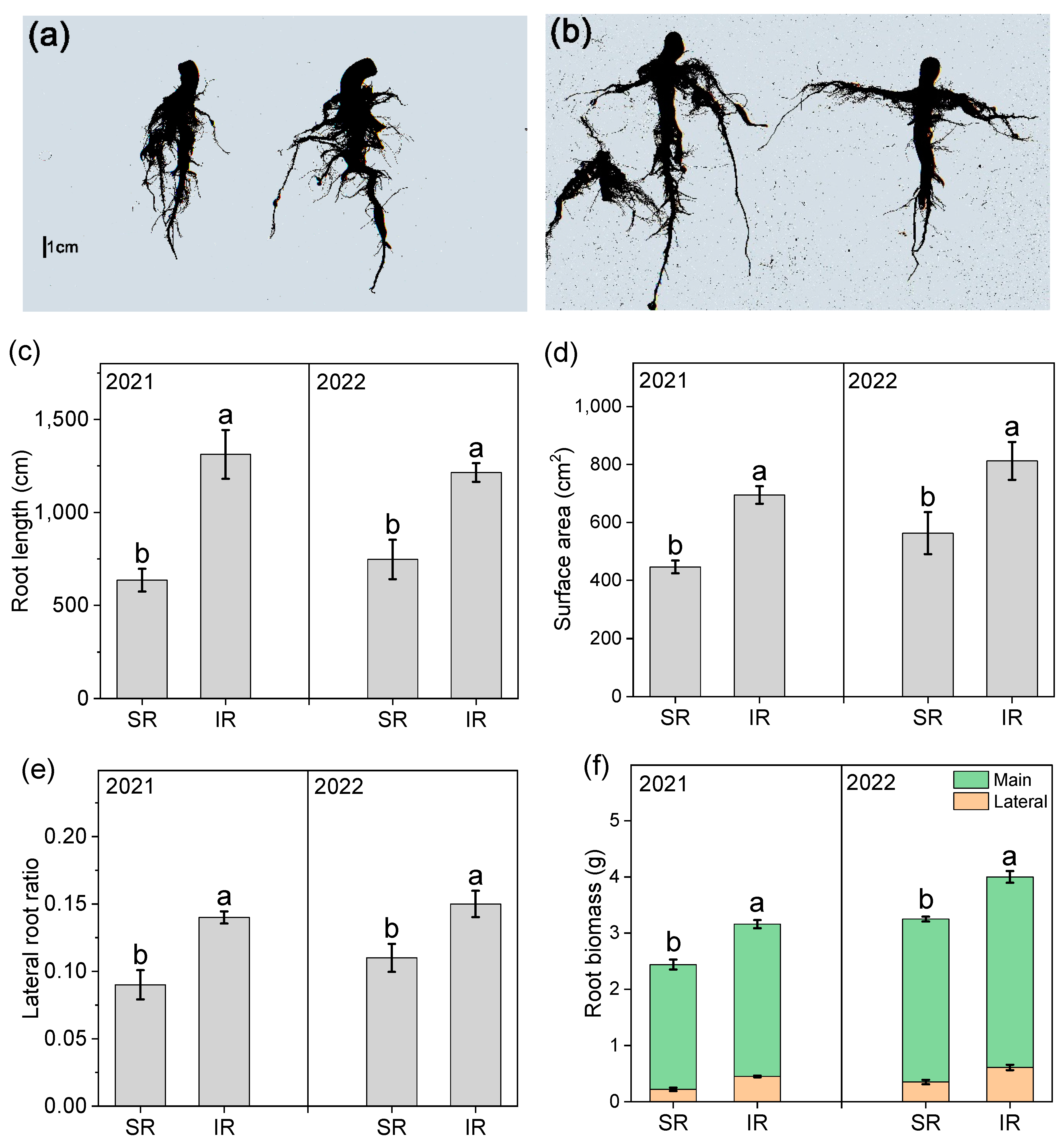 Agronomy 15 00220 g003