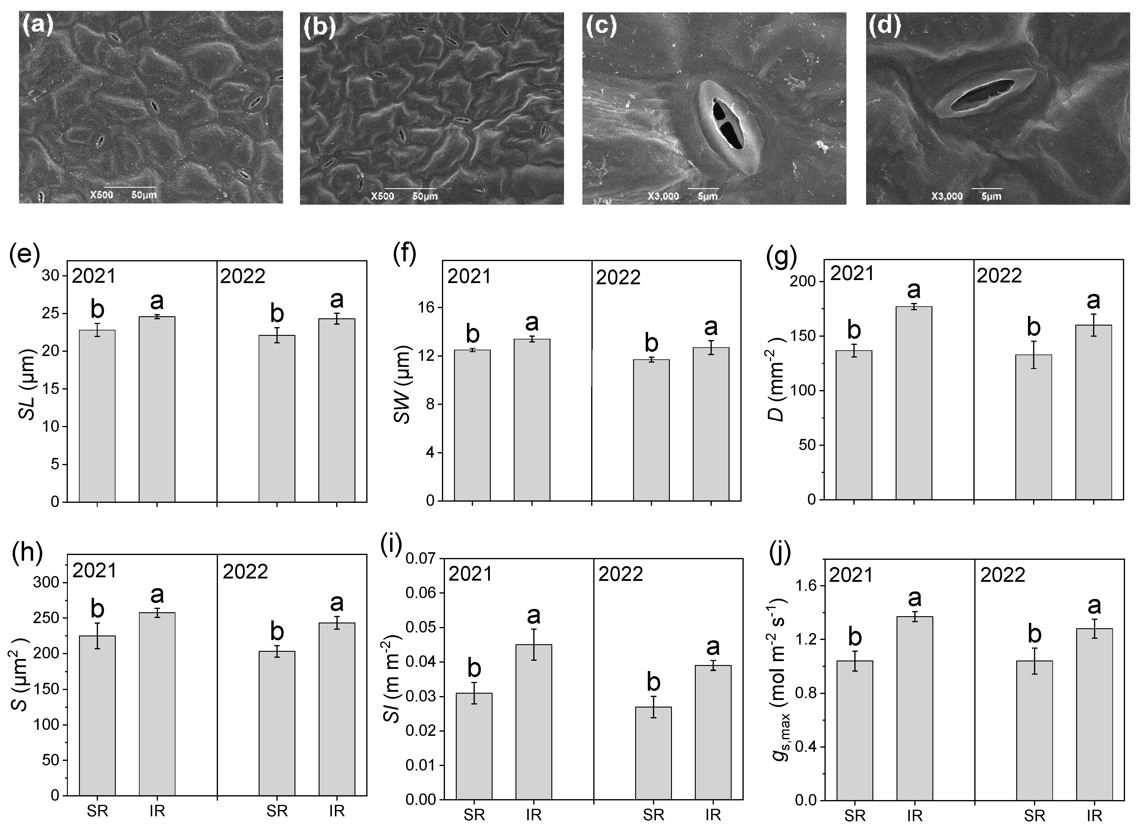 Agronomy 15 00220 g005