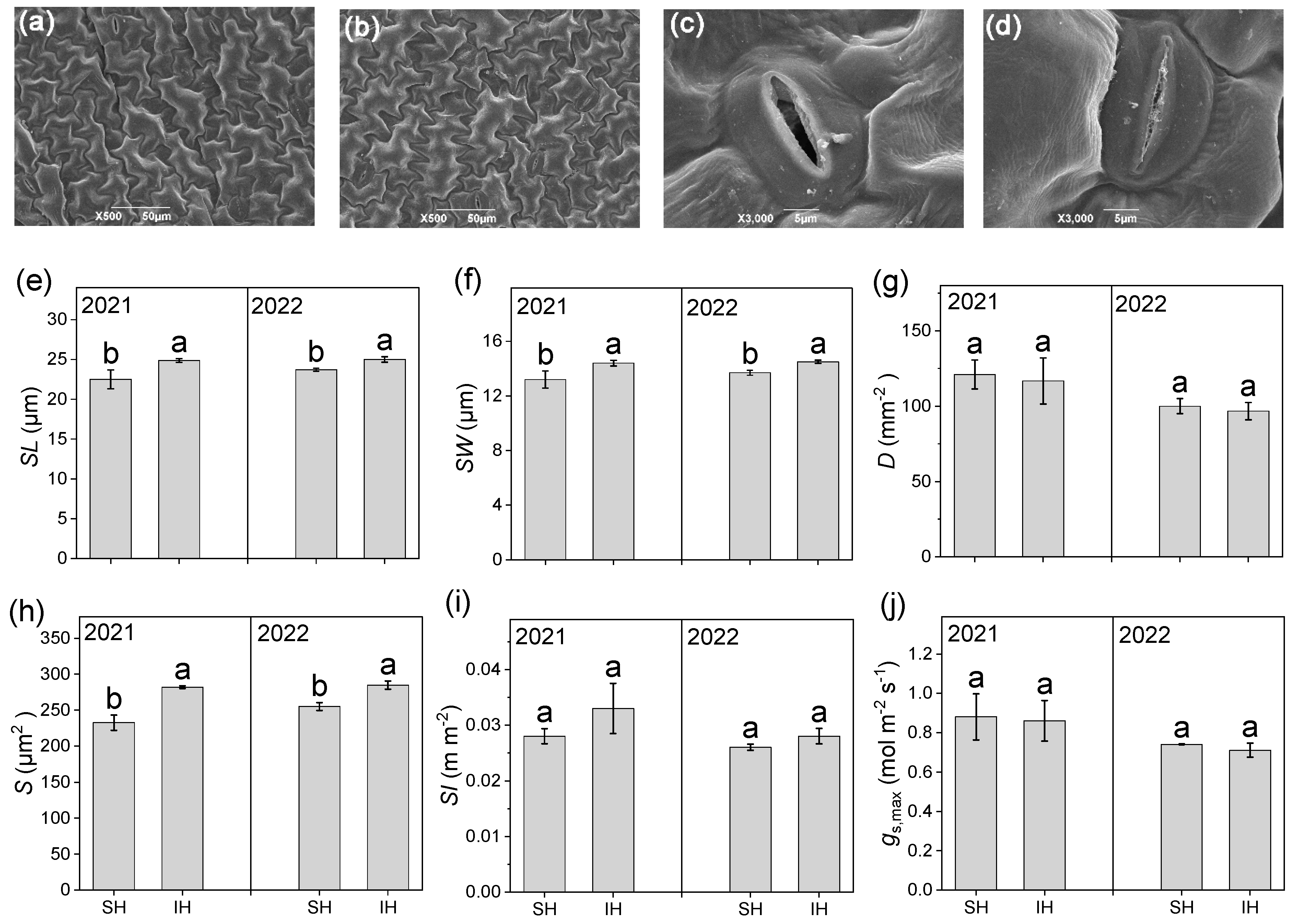 Agronomy 15 00220 g006