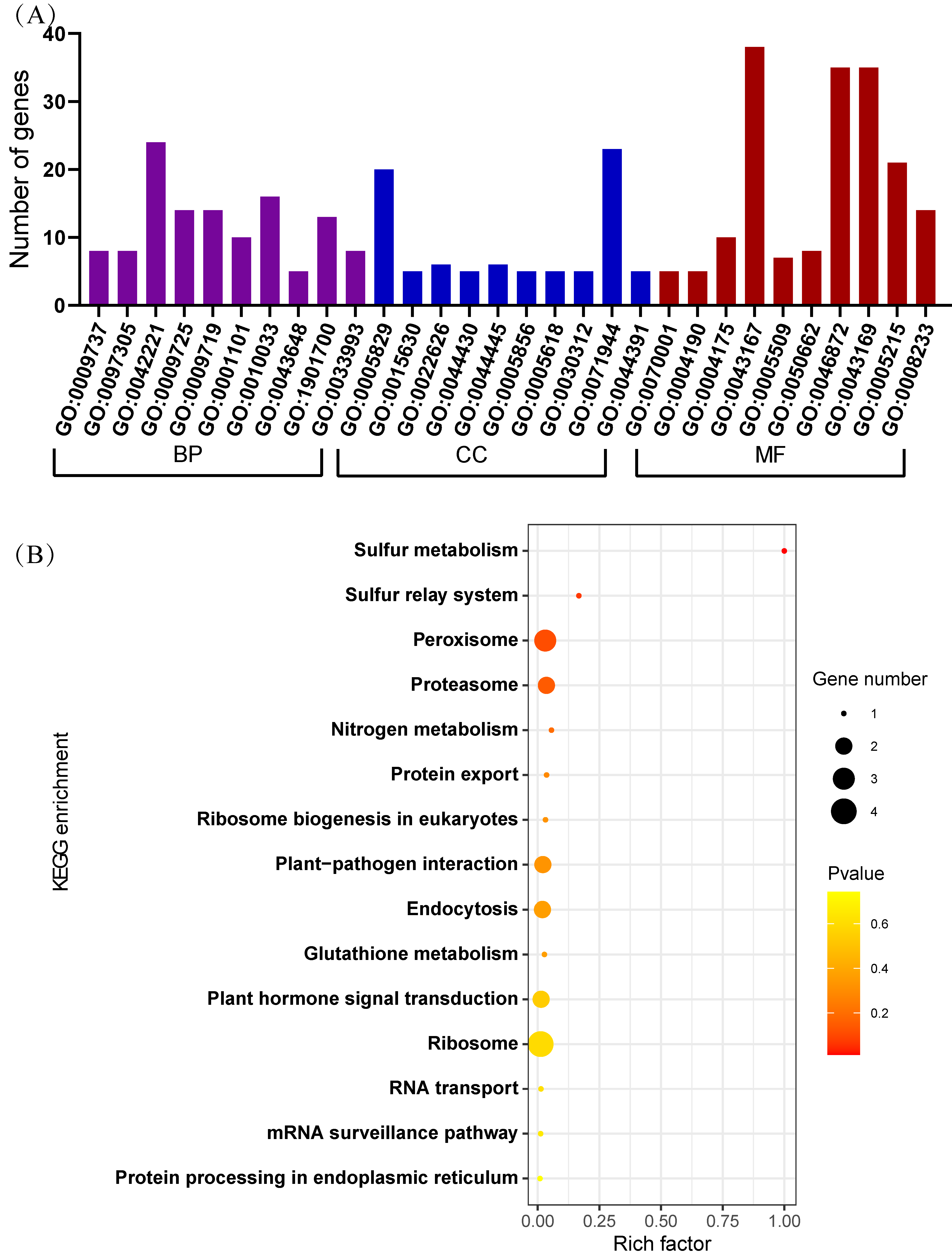 Agronomy 15 00225 g004