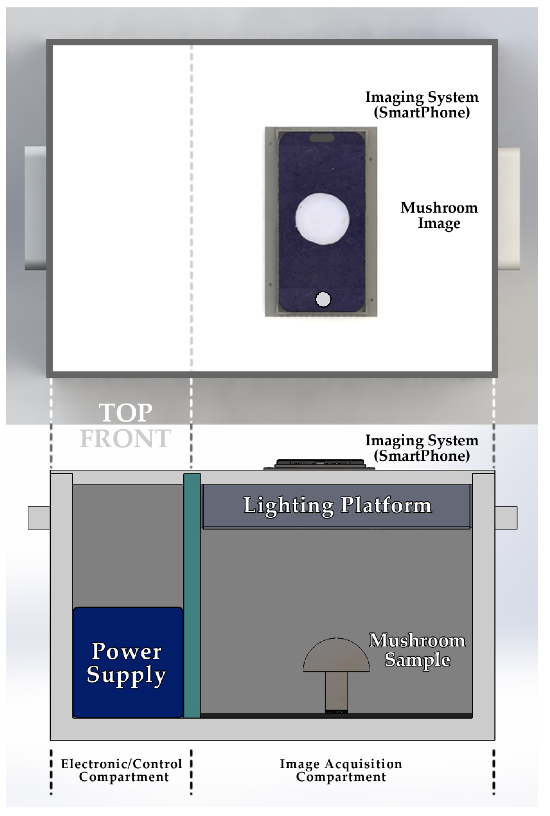 Agronomy 15 00226 g002