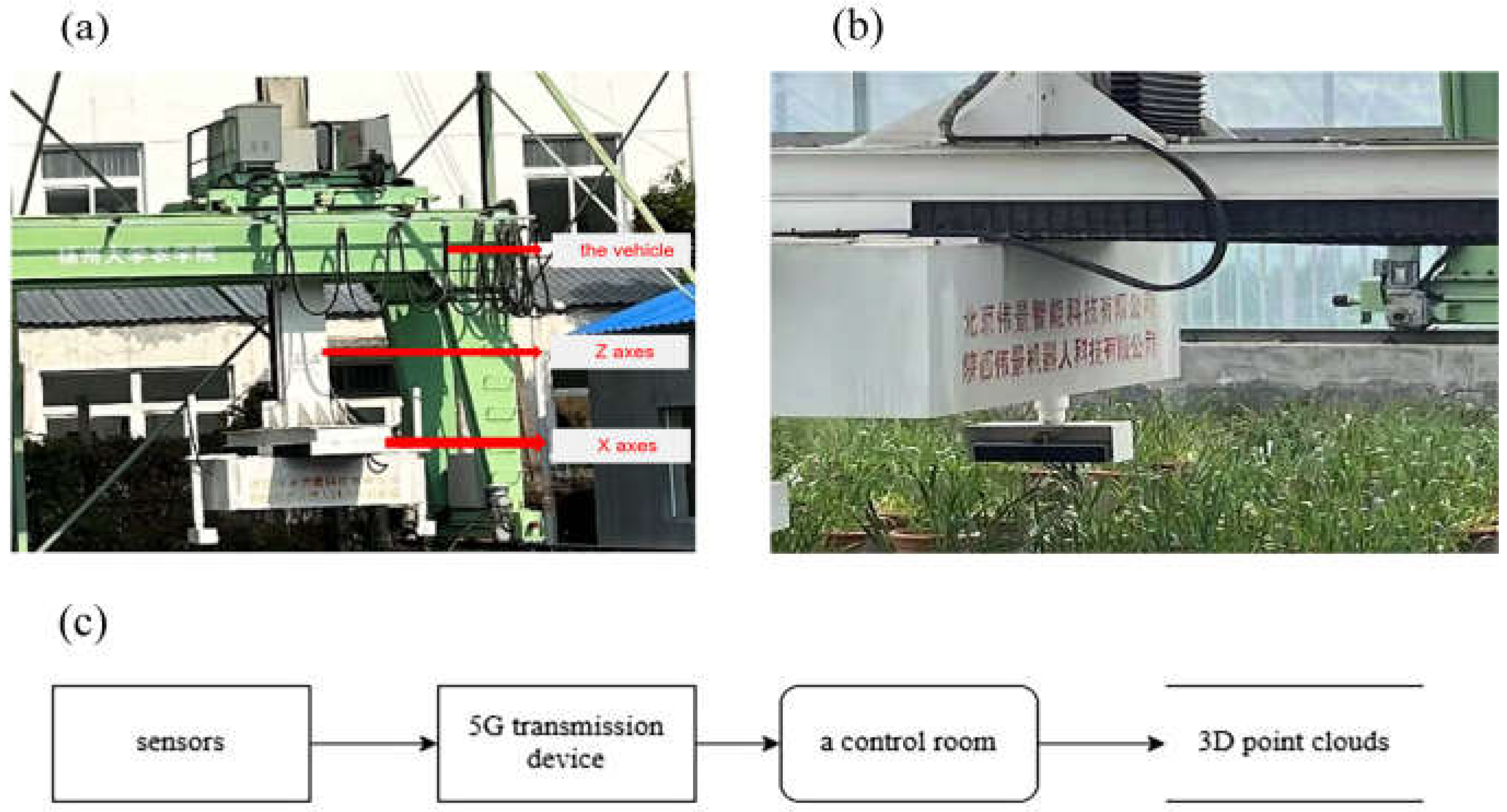 Agronomy 15 00245 g001
