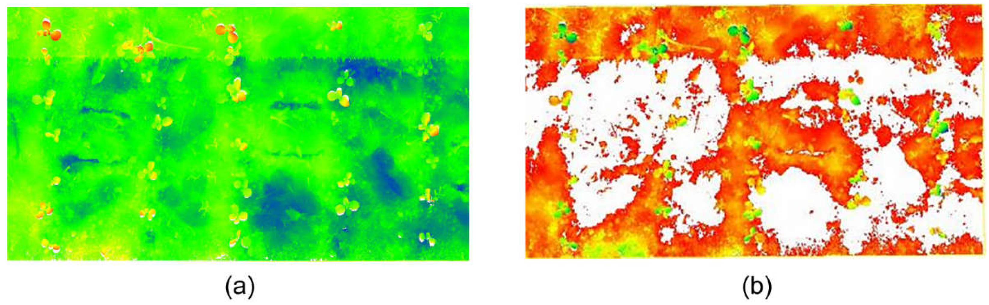 Agronomy 15 00245 g005