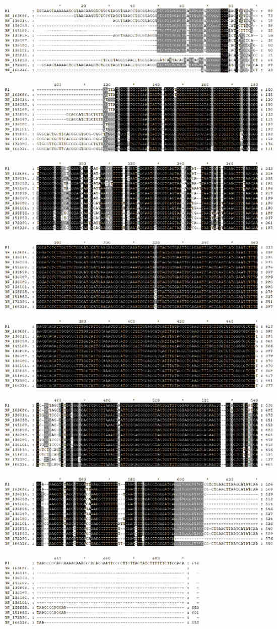 Agronomy 15 00251 g0a1