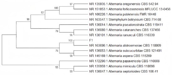 Agronomy 15 00251 g0a2