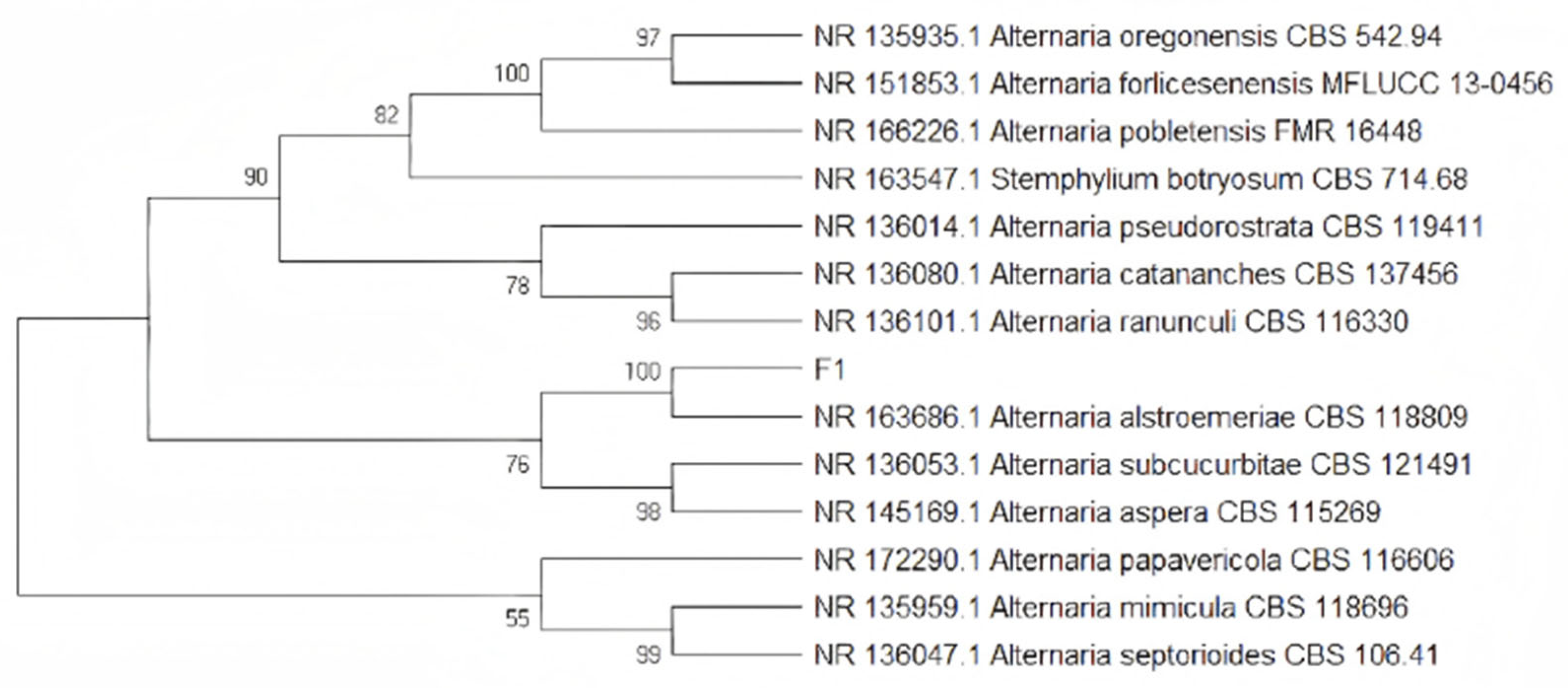 Agronomy 15 00251 g0a2 Agronomy 15 00251 g0a2