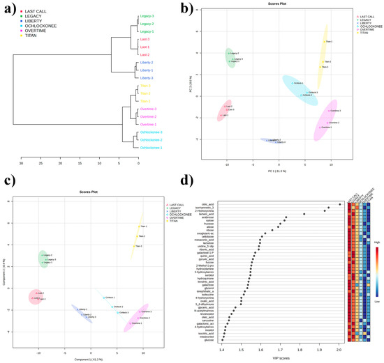 Agronomy 15 00262 g001